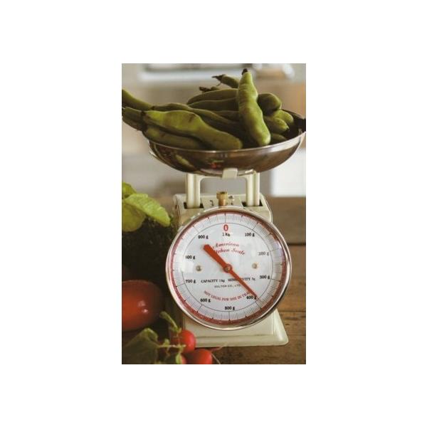 (DULTON)_g AJLb`XP[@SXF ʂ ͂  vʊ NbLOXP[ 䏊p͂ 100-061 