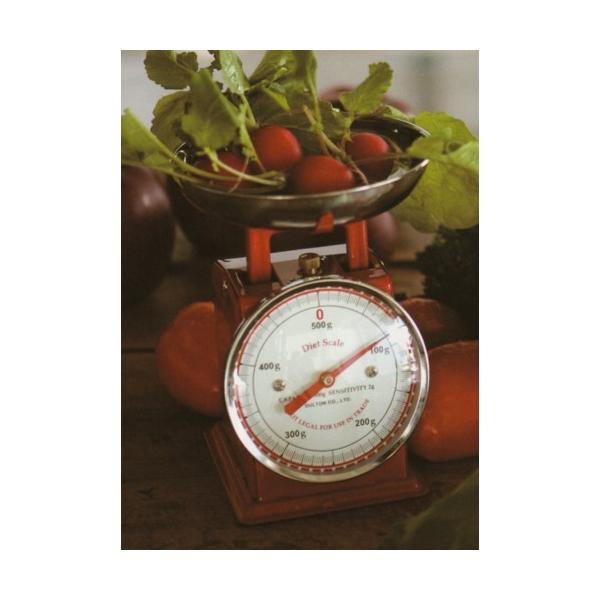 (DULTON)_g _CGbgXP[@S10F ʂ ͂  vʊ NbLOXP[ 䏊p͂  킢 Lb` G 100-126