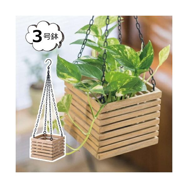 nMO|bg nMO{bNX v^[ AeB[N S[ 41364 Ǌ|v^[ v^[Jo[ K[f G ()