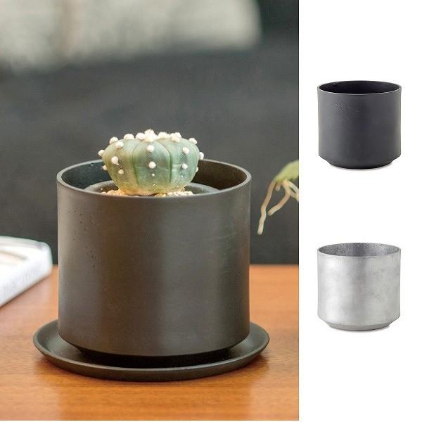 Eh|bg ubN Vo[ 63662 63663@ꌊL A~  Aؔ  v^[ Jo[ |bg K[f K[fjO G 