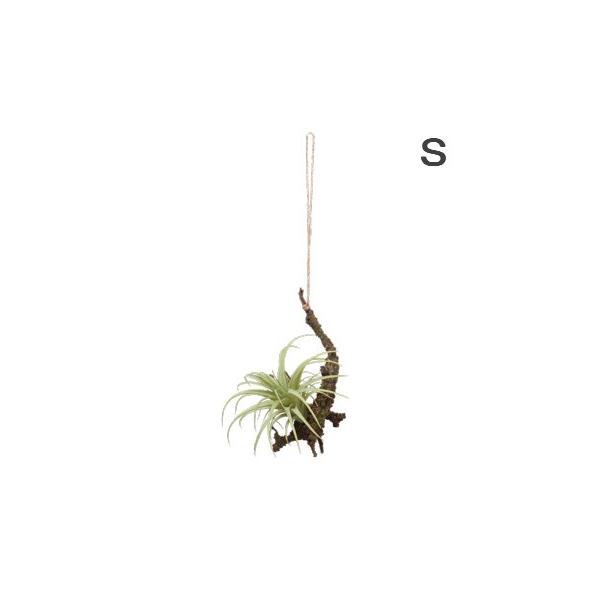 GA[vc nMO@GAvc r  C~e[V@Ǌ| ݂艺 O[ lHϗtA tFCNO[ C~e[V 