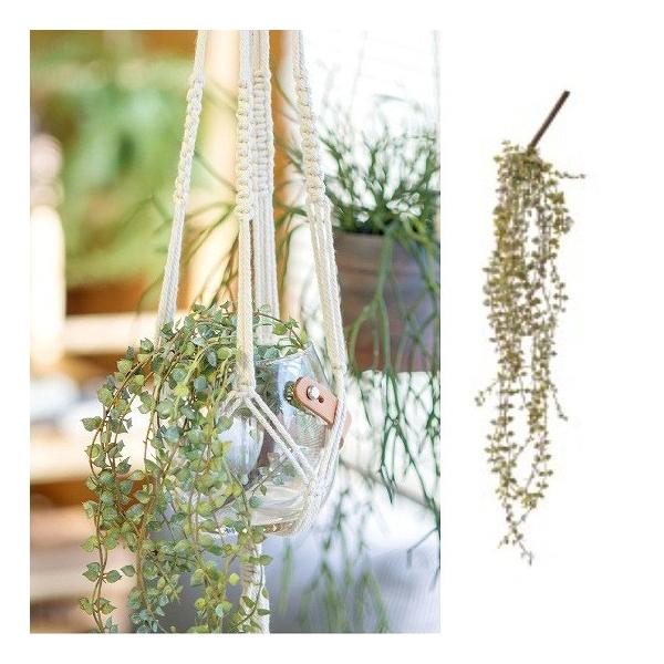 C[vc 80956 C~e[V CeAO[ lHϗtA tFCNO[ 