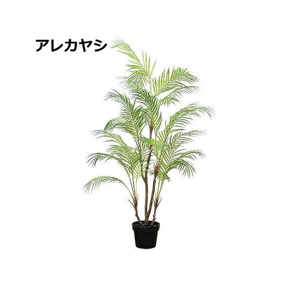 AJV  C~e[V 81023 tFCNO[ ϗtA  lHϗtA tFCNO[ CeAO[()