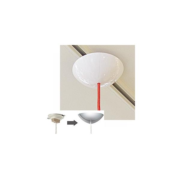 A[g[NX^WI Ɩi V[OJo[