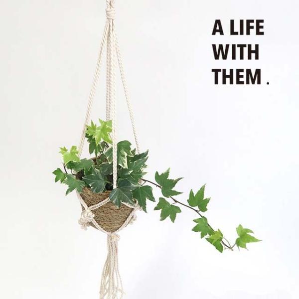 }N nMO|bg A i` ubN t[|bg   ϗtA K[fG i`K[f Aؔ  }N|bgnK[