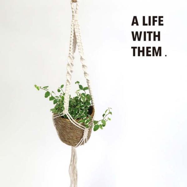 }N nMO|bg B i` ubN t[|bg   ϗtA K[fG i`K[f Aؔ  }N|bgnK[