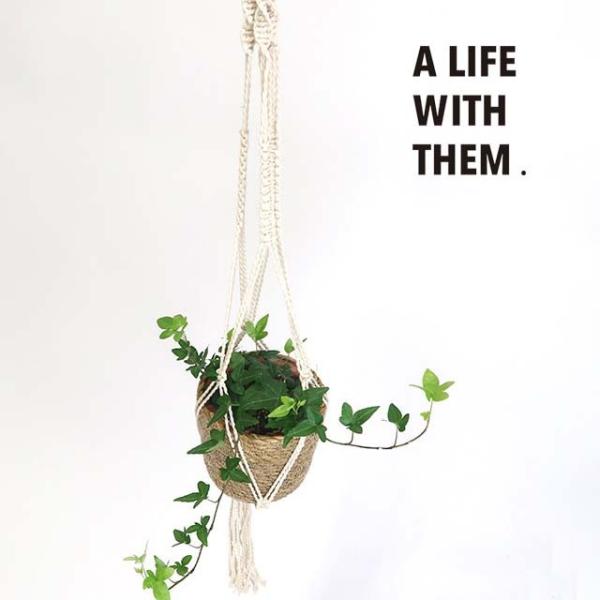 }N nMO|bg C i` ubN t[|bg   ϗtA K[fG i`K[f Aؔ  }N|bgnK[