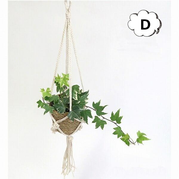 }NnMO|bg D 91830008 AeB[N KX }N ԕr g t[x[X///t[/t[OX/ԕr Vv/