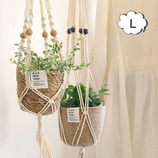 }N nMO|bgNC LTCY i` ubN t[|bg   ϗtA K[fG i`K[f