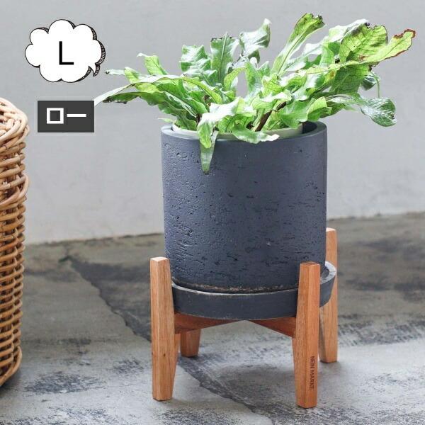 Ebh|bgX^h pr 20cmp iC}[P iC}[P }zKj[ |bgX^h k [ NG Creer 92200003(Aؔ )