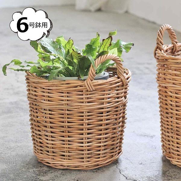 AO v^[oXPbg Up NG Creer 92210009   [ BOX {bNX  oXPbg  JS ()