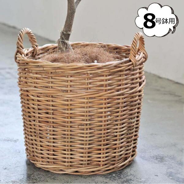 AO v^[oXPbg 8p NG Creer 92210010   [ BOX {bNX  oXPbg  JS ()