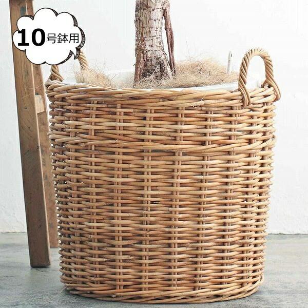 AO v^[oXPbg 10p NG Creer 92210011   [ BOX {bNX  oXPbg  JS ()