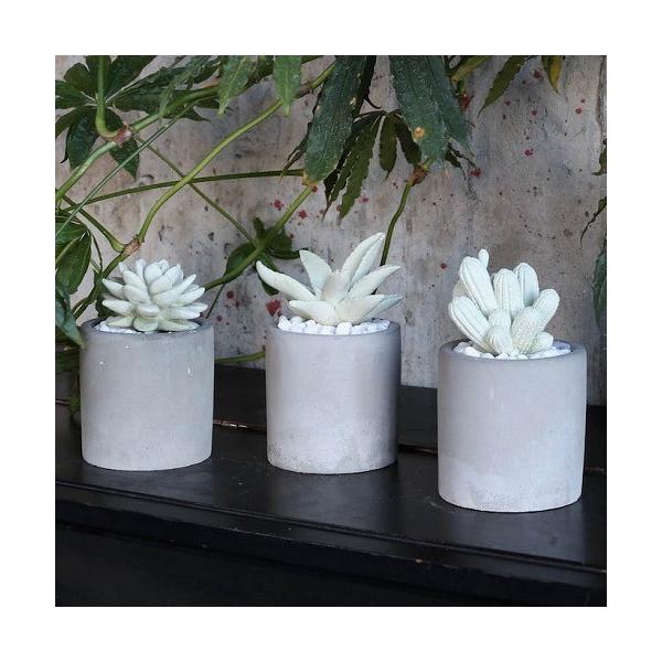 tOX fBt[U[ JN^X T{e ڂĂ _g@DULTON gI͒uƂĂg܂B ͂ A} 