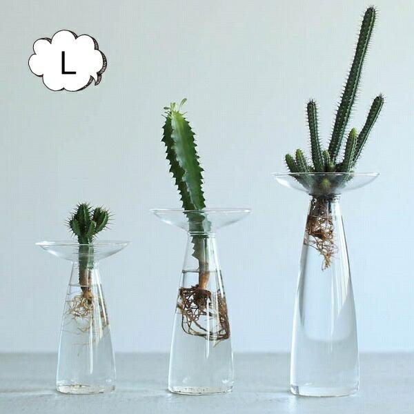 花瓶 ガラスベース エリンギウム Lサイズ ダルトン Dulton H19 0008l ガラス 水耕栽培 水栽培 フラワーポット 花瓶 フラワーベース 球根 おしゃれ Du H19 0008lyahoo メルシープレゼント 雑貨屋 通販 Yahoo ショッピング