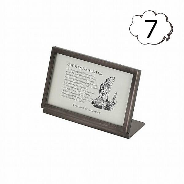 ʐ^ ^ t[ 7 _g DULTON AeB[N K955-1263-7 j[ vCX tHgt[ ʐ^ ʐ^ Ⴕ񂽂