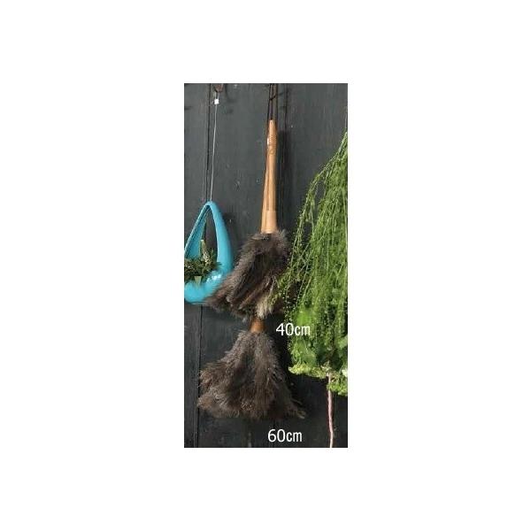 (DULTON)_g tFU[ _X^[ 60cm FEATHER DUSTER 60cm    _X^[ ͂ n^L bv L[{
