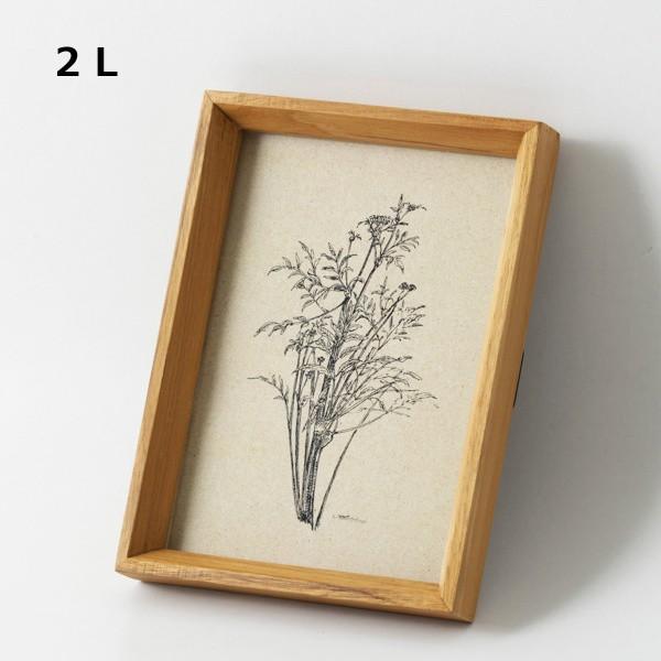 tHgt[ `[Nt[ Qk z[Xebh ANVX Homestead HS2750 ؐ Ebh ʐ^ ʐ^ Ⴕ񂽂 tHgt[ 