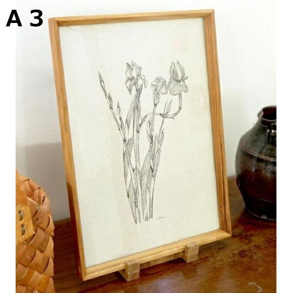 tHgt[ `[Nt[ A3 z[Xebh ANVX Homestead HS3041 ؐ Ebh ʐ^ ʐ^ Ⴕ񂽂 tHgt[ 