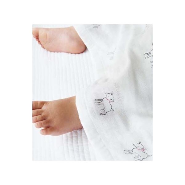 ���炩�K�[�[�}���`�^�I�� �����M �A�N�V�X AXCIS tete a tete �e�e�A�e�e RE5131 ���{�� ���� �K�[�[�^�I�� ������ �K�[�[(�|�C���g10�{)