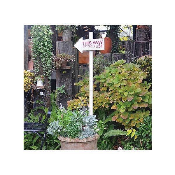 A[XeBbN L AeB[N azi-azi AWAW K[fsbN EFJv[g CeA  킢 K[fG