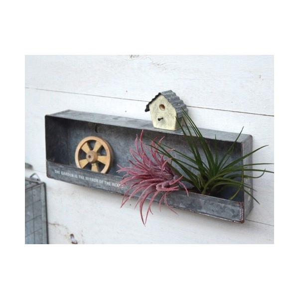 AeB[N eBEH[VFt 1i EH[VFt I 1i AZ-1169