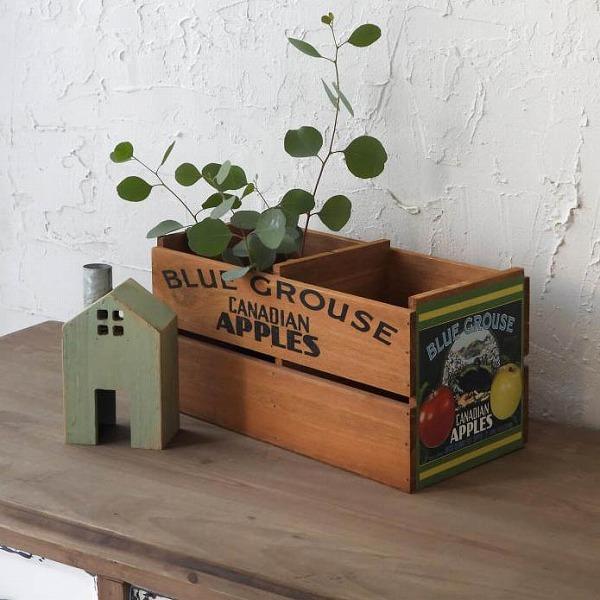 ؔ gQ{bNX AeB[N azi-azi AWAW CA-1029 K[f{bNX Ebh{bNX ؐ  [{bNX Jg[G G 