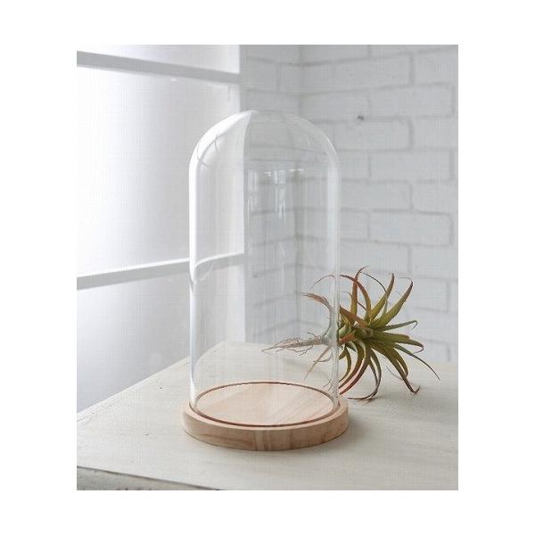 g[h[ (COVENT GARDEN RxgK[f) IuWF u IuWFȂǂŴɃIXXȃKXh[P[X    GLA