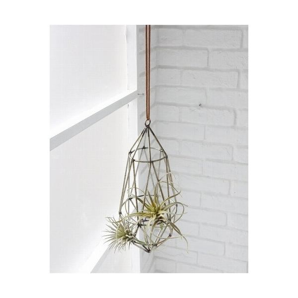 }[L[YEt[nO AeB[N  (COVENT GARDEN RxgK[f) IuWF u K[fjO K[f G nMO ݂艺 KW-04