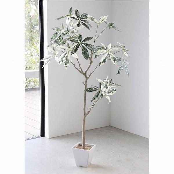 パキラ ミルキーウェイツリー 造花 イミテーション コベントガーデン