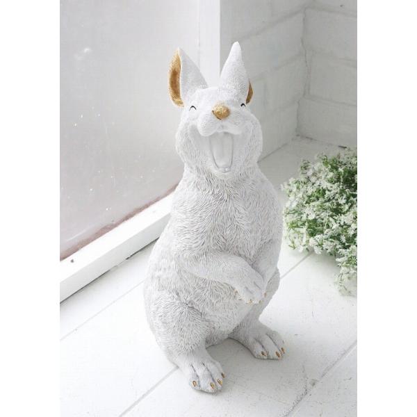 NbNAbv rbg AeB[N  ETM rbg rabbit e (COVENT GARDEN RxgK[f) K[f}XR