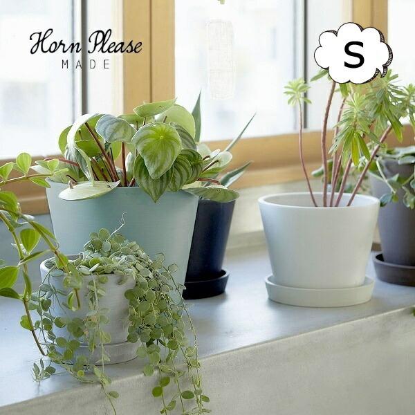 t[|bg GRth[ e[ v^v[g S TCN v[gt Horn Please u̔ 4 Aؔ ϗtA A T{e K[f