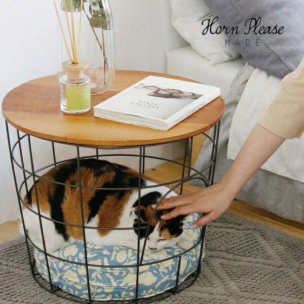 TChe[u EbhACA oXPbg e[u Horn Please u 423622 TChe[u TChS e[u \t@ xbh TCh iCge[u