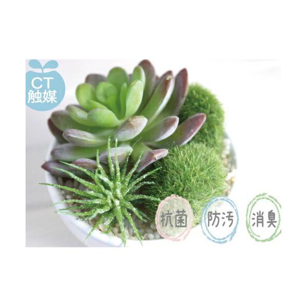 小さなサボテンやコケなどを寄せ植えした、キュートな消臭アーティフィシャルグリーンのサキュレントリフレリウムのご紹介です。■コンパクトなサイズで、玄関や洗面所、デスクなどインテリアのちょっとした場所を手軽に彩ります。■中身の見えるクリアボック...