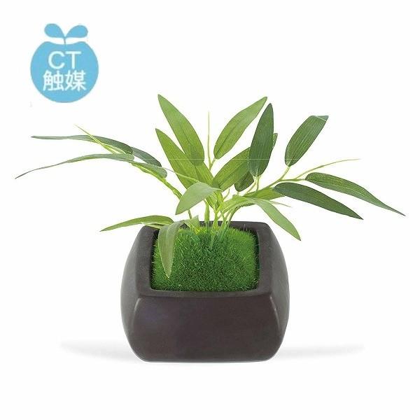 和盆栽 消臭アーティフィシャルグリーン タケ 竹 Bamboo バンブー イミテーション サキュレント フェイクグリーン 観葉植物 造花 光触媒 Ct触媒 人工観葉植物 Zx Kh yahoo メルシープレゼント 雑貨屋 通販 Yahoo ショッピング