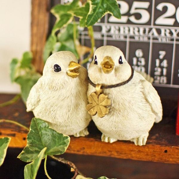 K[fI[ig o[h go[YK[fI[ig KH-61168  Ƃ Rg  Ƃ g o[h bird K[f}XRbg K[f 