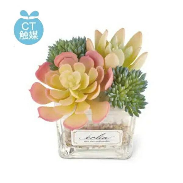  LA[eBtBVO[ bsG} C~e[V TLg tFCNO[ GNA KH-61180  CeAO[ lHϗtA