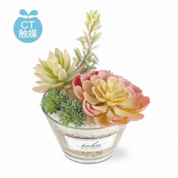 LA[eBtBVO[ bsG} C~e[V TLg tFCNO[  CeAO[ lHϗtA tFCNO[