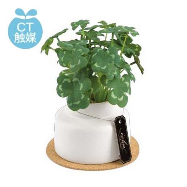 N[o[ ϗtA  CeA CTG} ~j tFCNO[ tω AW  A JtF  rO Lb` LEhERۋ@\