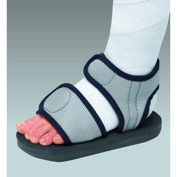 LXgT_ STCYi20.5`24.5cmj 1 Ep 17602 APA yMuXpT_zyԕisz