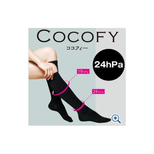 XgbLO RRtB[ COCOFY inC\bNX^Cvj ubN/TCYSMi24hPaj CCF-SM-24ByEfBJzyeXgbLOzyԕisz