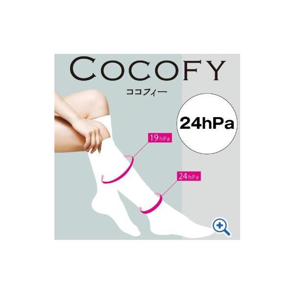 XgbLO RRtB[ COCOFY inC\bNX^Cvj zCg/TCYSMi24hPaj CCF-SM-24WyEfBJzyeXgbLOzyԕisz