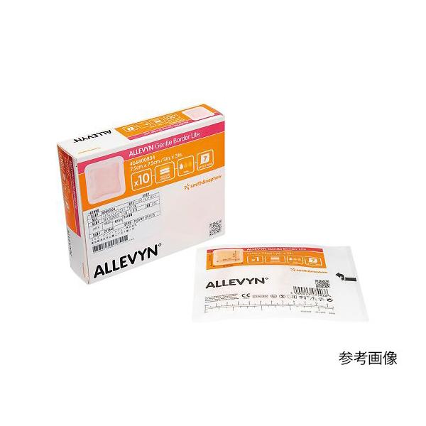 nCh WFgGCh 66800835 1010cm pbh7.57.5cm 110 X~XEAhElt[yԕisz