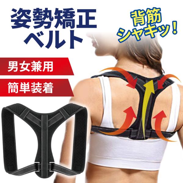腰痛ベルト 猫背矯正ベルト みんな探してる人気モノ 腰痛ベルト 猫背矯正ベルト