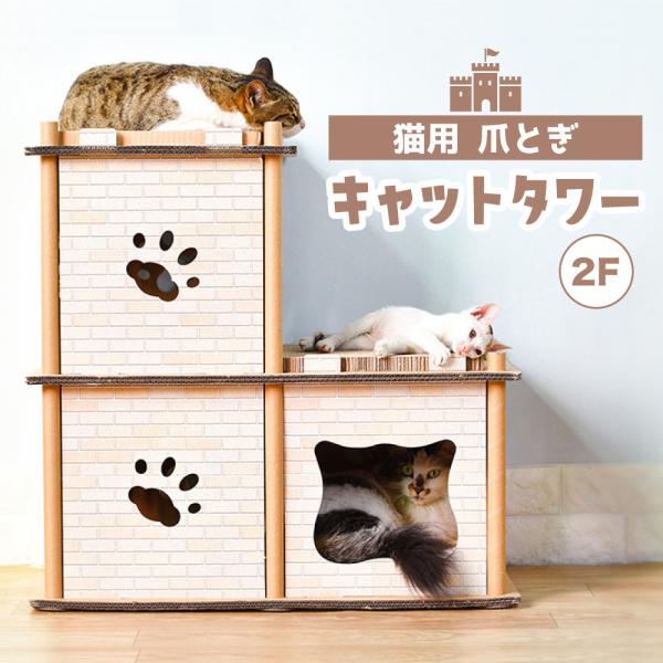 merland_cat-00167