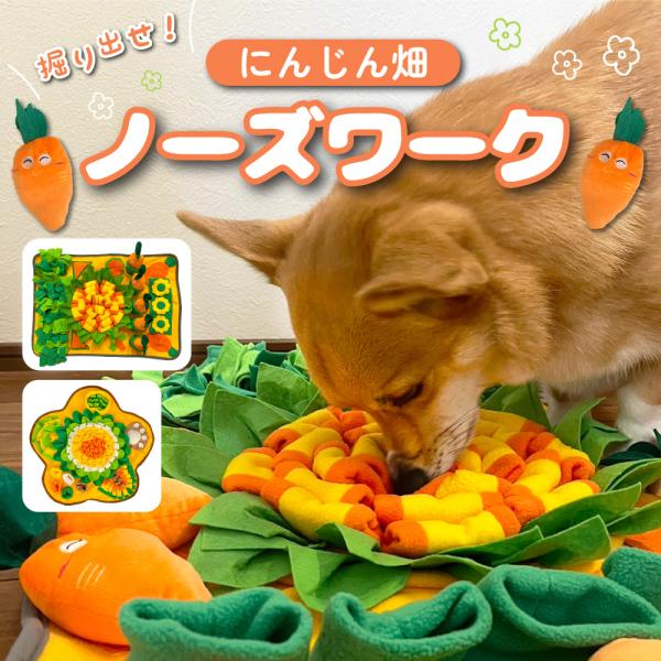 【にんじん畑 ノーズワークの特長】嗅覚を刺激しながら飼い主さんと一緒になって遊ぶことができるノーズワークマット。フードやトリーツを隠せる仕掛けがたくさんあり、隠し方を変えれば難易度も上がりもっと楽しめます。種類や年齢を問わずお部屋の中で遊べ...
