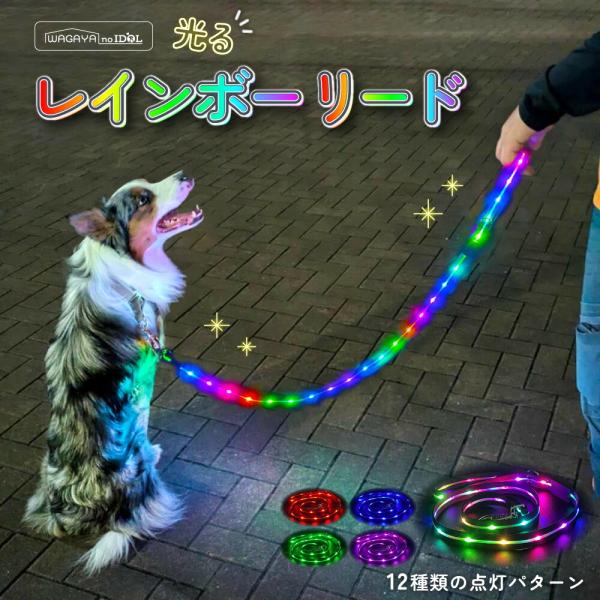 【光る レインボーリードの特長】夜のお散歩がもっと安全で楽しくなるこのリードは、暗い夜道でも愛犬の存在をしっかりアピール。まるでパレードのように可愛らしく光るデザインと実用性が備わった、飼い主さんとワンちゃんのためお散歩アイテムです。・高い...