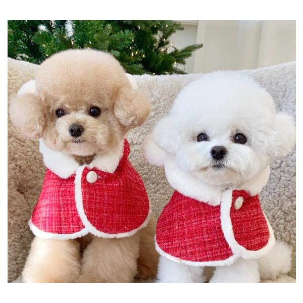 くま耳 マント 犬 犬服 ポンチョ コート 赤い 可愛い 犬の服