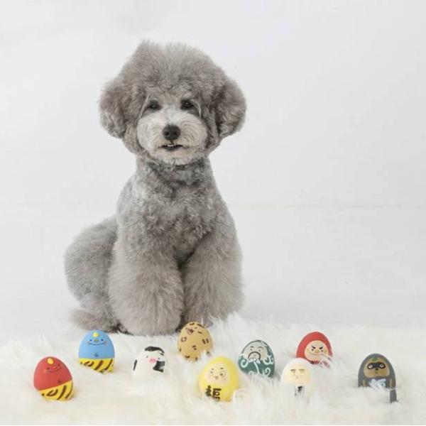 たまごおもちゃ 犬 おもちゃ 鳴る 音 ラテックス 卵型 小型犬 ペット