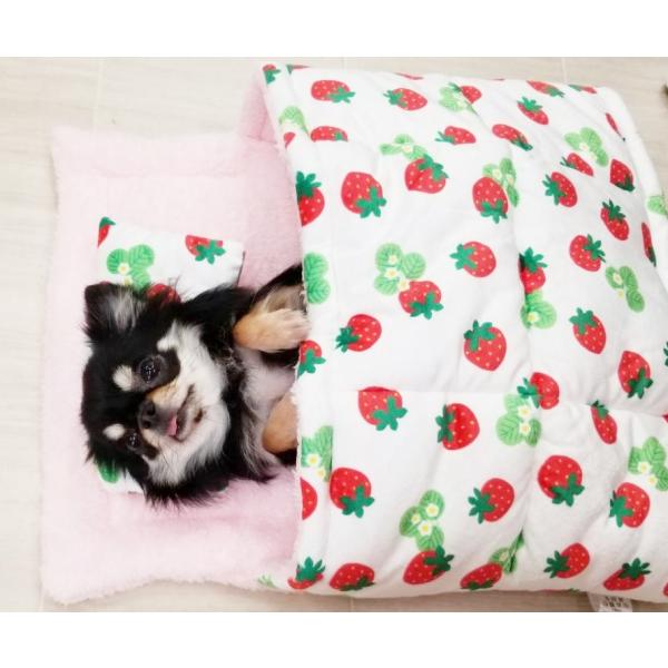 当店オリジナル ふかふかおふとん Sサイズ いちご 犬のベッド 猫 おふとん ベッド ふわふわ お布団 洗える 小型犬 洗濯 可愛い 小さい R2468 Petshop Merrily 通販 Yahoo ショッピング
